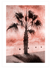 Pink Shades - Poster Seti Duo